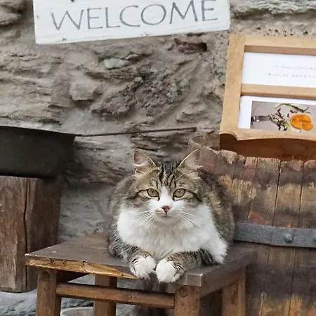 Hotel Diffuso Ceaglio Valle Maira Marmora