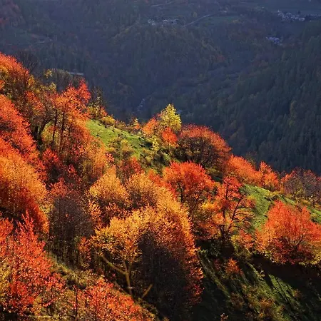 Diffuso Ceaglio Valle Maira 2* Marmora